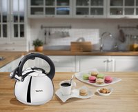 Чайник для плиты Tefal Duetto+ N4180110 серебристый
