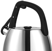 Чайник для плиты Polaris Mela-2.5L серебристый