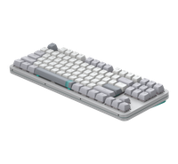 Keyboard  wired Dark Project ALU87A