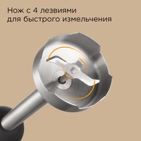 Блендер погружной Redmond BH420 черный
