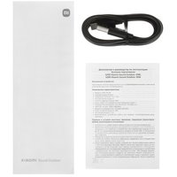 Портативная колонка Xiaomi Sound Outdoor, золотистый