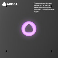 Умная колонка Яндекс Станция Мини 3 черный