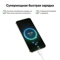 6.7" Smartphone HUAWEI nova 13 256 GB green