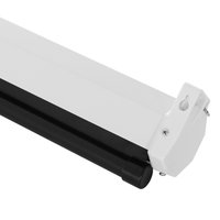 120" Экран для проектора DEXP WE-120