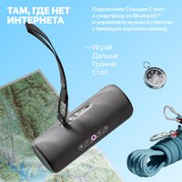 Умная портативная колонка Яндекс Станция Стрит, черный