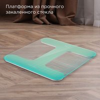 Весы Redmond SB1811 зеленый