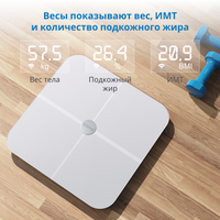 Весы Renpho Elis Aspire WiFi Body Scale ES-BR001 белый