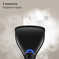 Отпариватель РЕДМОНД SH1635 черный