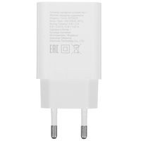 Сетевое зарядное устройство DEXP IET25CD белый