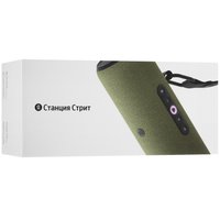 Умная портативная колонка Яндекс Станция Стрит, зеленый