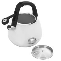 Чайник для плиты Polaris Mela-2.5L серебристый