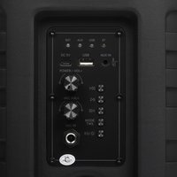 Портативная аудиосистема Aceline APA-100, черный