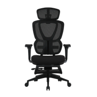 Компьютерное кресло Evolution LX 2 черный