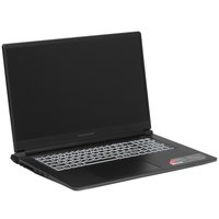 17.3" Ноутбук ARDOR Gaming RAGE R17-I7ND404 черный