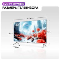 32" (80 cm) TV EVO TV 32 white