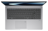 15.6" Ноутбук ASUS ExpertBook PM1503CDA-S70217 серый