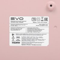 24" (61 см) Телевизор EVO TV 24 розовый