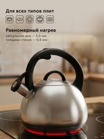 Чайник Nadoba Bett серебристый