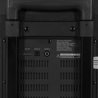 Портативная аудиосистема Fiero Maletas FRPA-200, черный