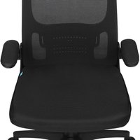 Computer chair Defender DALLAS black