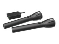 Set of microphones RITMIX RWM-302 black