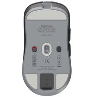 Mouse wireless/wired Dark Project Novus [DPP_Novus_BG] black