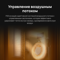 3D принтер Bambu Lab P2S EU