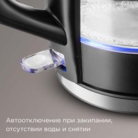 Электр чайнек РЕДМОНД KG250