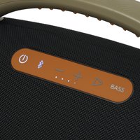 Портативная колонка Fiero Lure Grande FRPS-540, коричневый