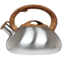 Stovetop kettle Aceline TS-305 silver