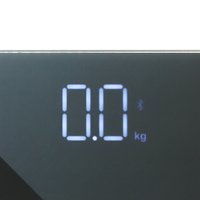 Весы Redmond 745S черный