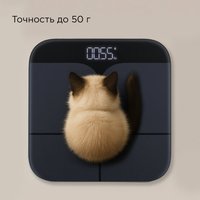 Весы РЕДМОНД SB1812S черный