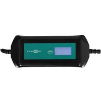 Зарядное устройство FinePower CCA6