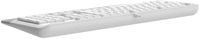 Keyboard  wired A4Tech Fstyler FK20