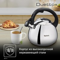Чайник для плиты Tefal Duetto+ N4180110 серебристый