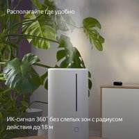 Пульт управления Яндекс YNDX-0006