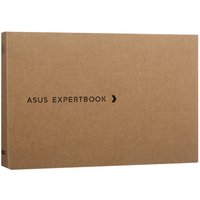15.6" Ноутбук ASUS ExpertBook PM1503CDA-S70217 серый