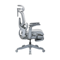 Компьютерное кресло Evolution ZX 2 серый