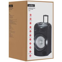 Портативная аудиосистема Aceline V880, черный