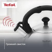 Чайник для плиты Tefal N4210117 серебристый