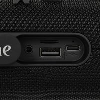Портативная колонка Aceline APS-310, черный