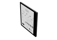 7" Электронная книга DEXP Eterna 7BR300 черный + чехол