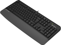 Keyboard  wired A4Tech Fstyler FK20