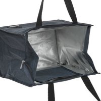 Изотермическая сумка Aceline BG-20