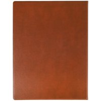 10" Электронная книга DEXP Eterna 10BR200S черный + чехол