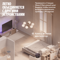 Умная колонка Яндекс Станция Мини 3 Про черный