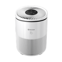 Air purifier Thermex Bora white