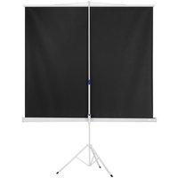 99" Экран для проектора DEXP TM-70