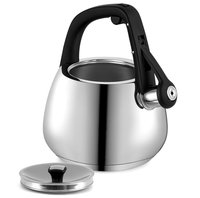 Чайник для плиты Polaris Mela-2.5L серебристый