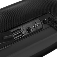 Портативная колонка Aceline APS210, черный